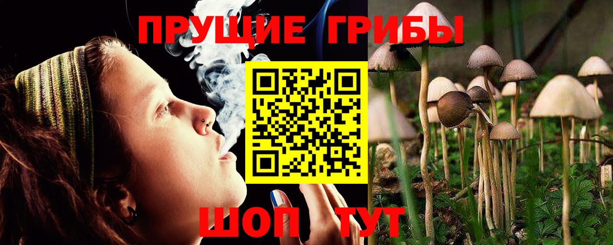 Галлюциногенные грибы мухоморы  Вход с VPN  Ульяновск 